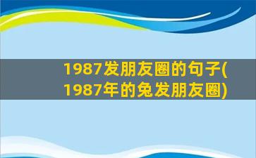 1987发朋友圈的句子(1987年的兔发朋友圈)