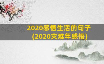 2020感悟生活的句子(2020灾难年感悟)