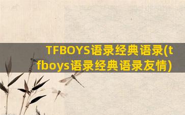 TFBOYS语录经典语录(tfboys语录经典语录友情)