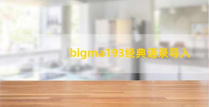 bigma193经典语录导入