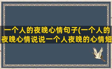 一个人的夜晚心情句子(一个人的夜晚心情说说一个人夜晚的心情短语)