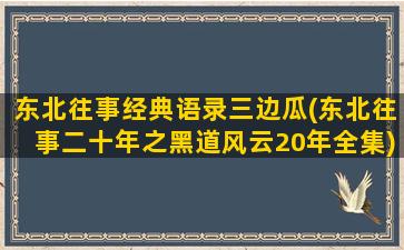 东北往事经典语录三边瓜(东北往事二十年之黑道风云20年全集)