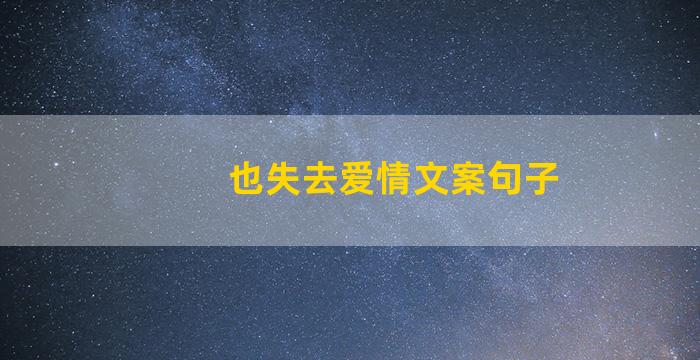 也失去爱情文案句子