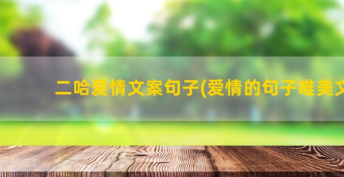 二哈爱情文案句子(爱情的句子唯美文案)