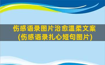 伤感语录图片治愈温柔文案(伤感语录扎心短句图片)