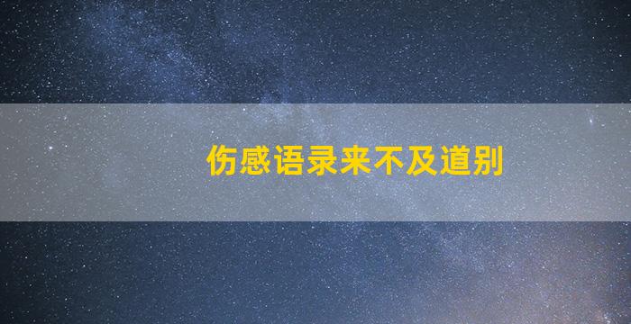 伤感语录来不及道别