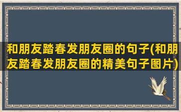 和朋友踏春发朋友圈的句子(和朋友踏春发朋友圈的精美句子图片)