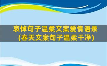 哀悼句子温柔文案爱情语录(春天文案句子温柔干净)