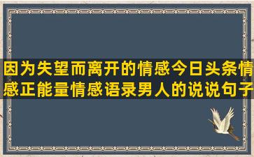 因为失望而离开的情感今日头条情感正能量情感语录男人的说说句子