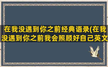 在我没遇到你之前经典语录(在我没遇到你之前我会照顾好自己英文)