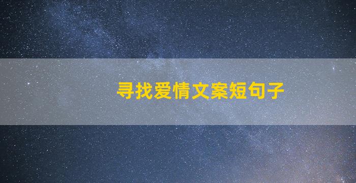 寻找爱情文案短句子