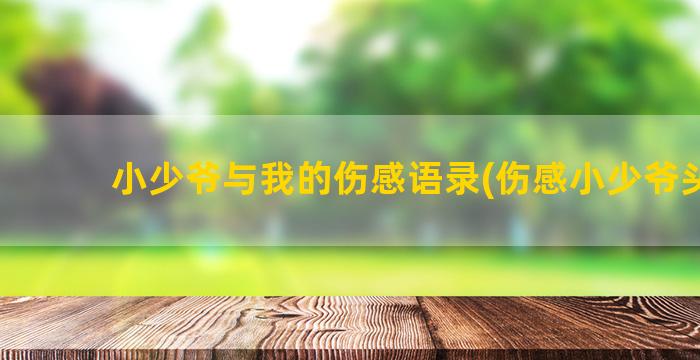 小少爷与我的伤感语录(伤感小少爷头像)