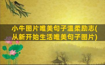 小牛图片唯美句子温柔励志(从新开始生活唯美句子图片)