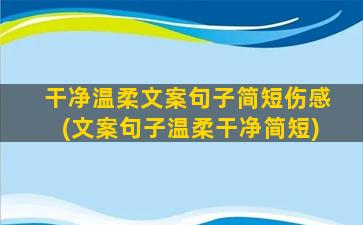 干净温柔文案句子简短伤感(文案句子温柔干净简短)