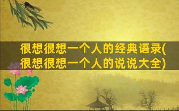 很想很想一个人的经典语录(很想很想一个人的说说大全)