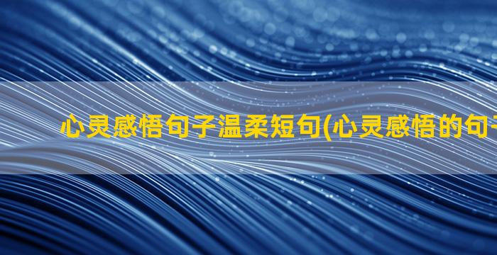 心灵感悟句子温柔短句(心灵感悟的句子100句)