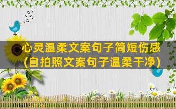 心灵温柔文案句子简短伤感(自拍照文案句子温柔干净)