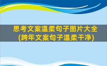 思考文案温柔句子图片大全(跨年文案句子温柔干净)