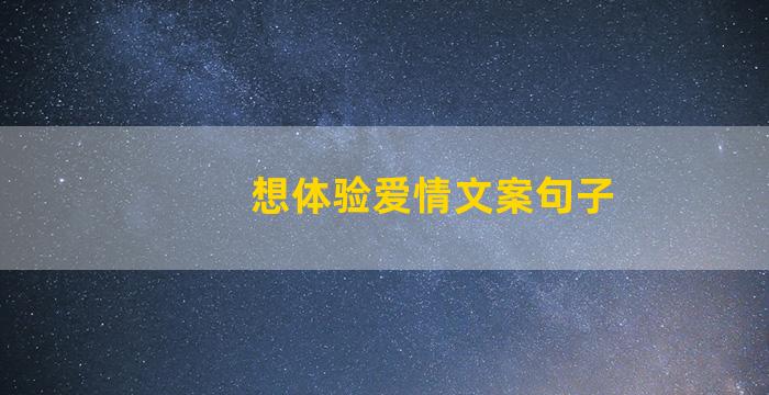 想体验爱情文案句子