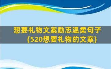 想要礼物文案励志温柔句子(520想要礼物的文案)