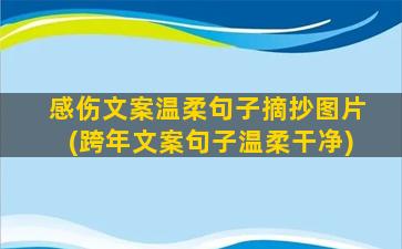 感伤文案温柔句子摘抄图片(跨年文案句子温柔干净)