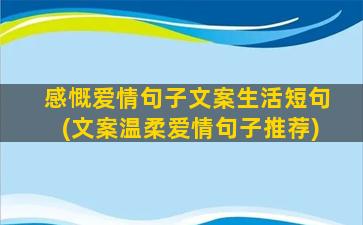 感慨爱情句子文案生活短句(文案温柔爱情句子推荐)