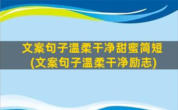 文案句子温柔干净甜蜜简短(文案句子温柔干净励志)