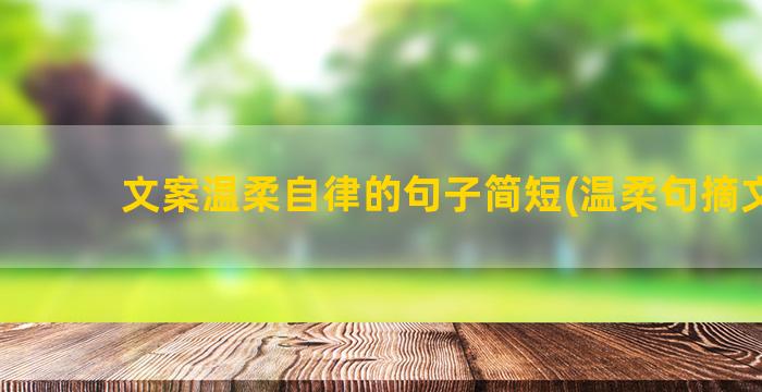 文案温柔自律的句子简短(温柔句摘文案)