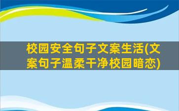 校园安全句子文案生活(文案句子温柔干净校园暗恋)