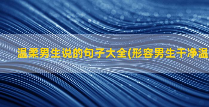 温柔男生说的句子大全(形容男生干净温柔的句子)