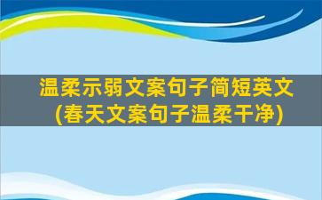 温柔示弱文案句子简短英文(春天文案句子温柔干净)