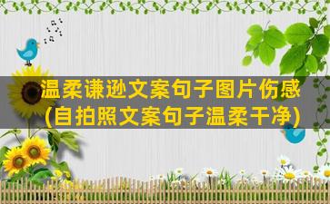 温柔谦逊文案句子图片伤感(自拍照文案句子温柔干净)