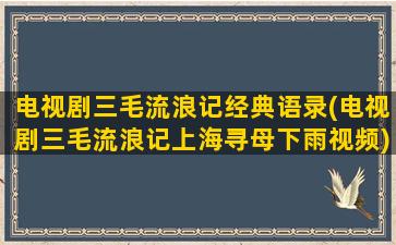 电视剧三毛流浪记经典语录(电视剧三毛流浪记上海寻母下雨视频)