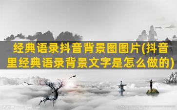 经典语录抖音背景图图片(抖音里经典语录背景文字是怎么做的)