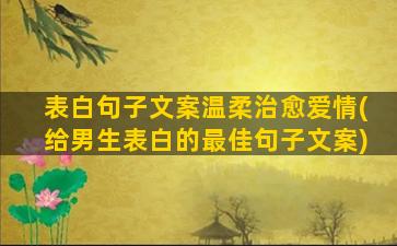 表白句子文案温柔治愈爱情(给男生表白的最佳句子文案)