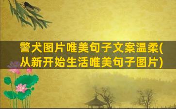 警犬图片唯美句子文案温柔(从新开始生活唯美句子图片)