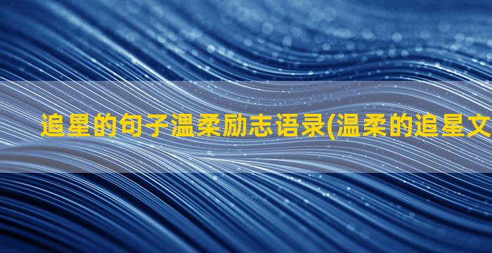 追星的句子温柔励志语录(温柔的追星文案长句子)