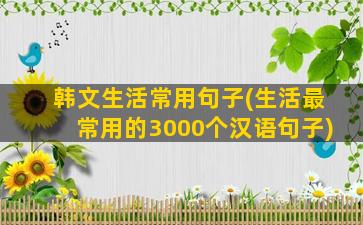 韩文生活常用句子(生活最常用的3000个汉语句子)