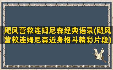 飓风营救连姆尼森经典语录(飓风营救连姆尼森近身格斗精彩片段)